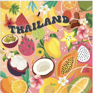 Thailand Pocket Mirror Square Mix fruit