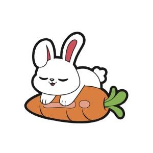 PVC Magnet Rabbit